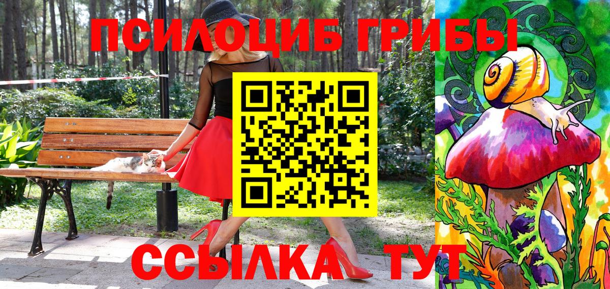 Галлюциногенные грибы GOLDEN TEACHER Советская Гавань